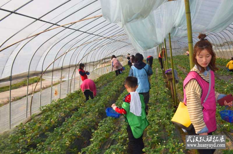 婦女節(jié)親子活動 婦女節(jié)親子采摘