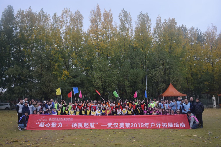 武漢美萊醫(yī)療