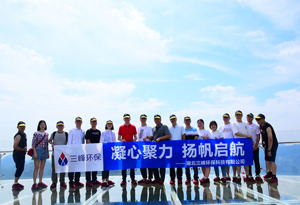 湖北三峰環(huán)?？萍加邢薰?/> </a> </li>
          <li style=