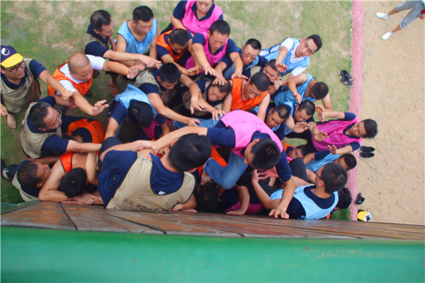 1502783068237750.jpg IMG_8316.JPG