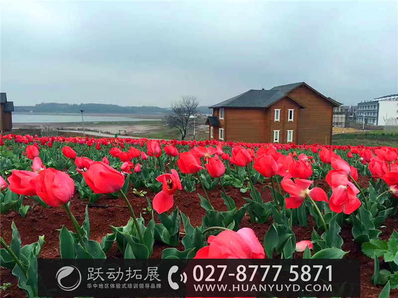 1489978899136019.jpg 132607688364679034.jpg