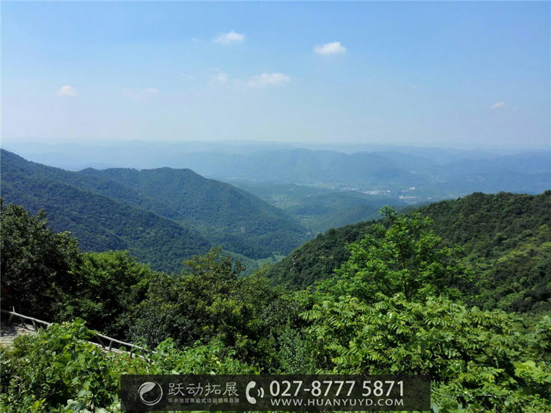 1495438790337455.jpg 100t090000004740c7ABF.jpg