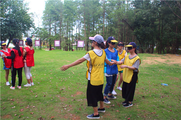 1502764163315336.jpg IMG_6541.JPG