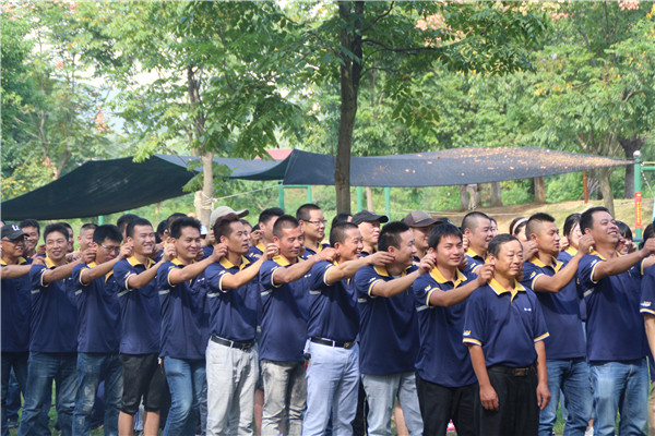 1510384058665297.jpg IMG_2986.JPG