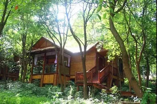 1527491081102459.jpg 4.jpg