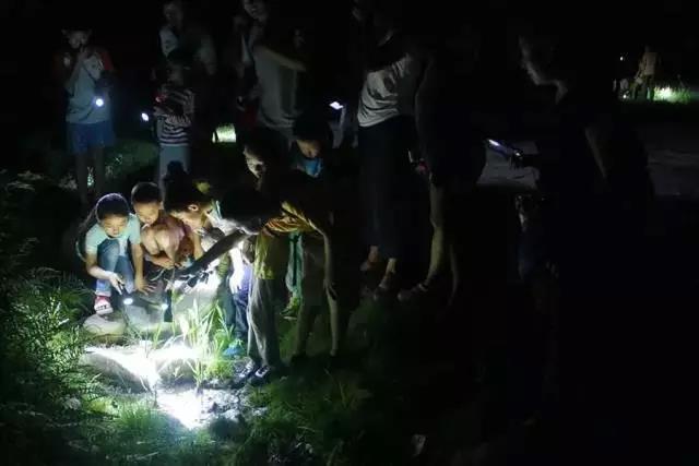 1527491441704673.jpg 10.jpg