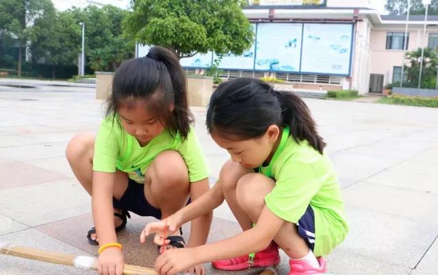 1527491605172549.jpg 15.jpg