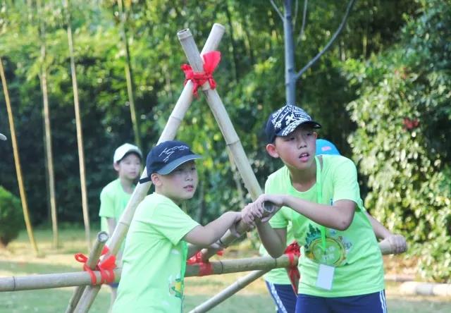 1527491630327349.jpg 16.jpg