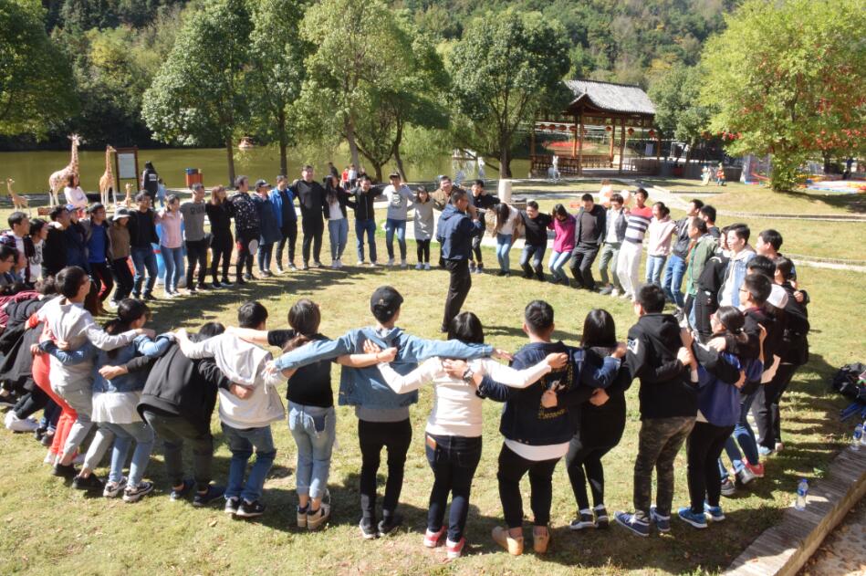 1540879156256430.jpg 3.jpg