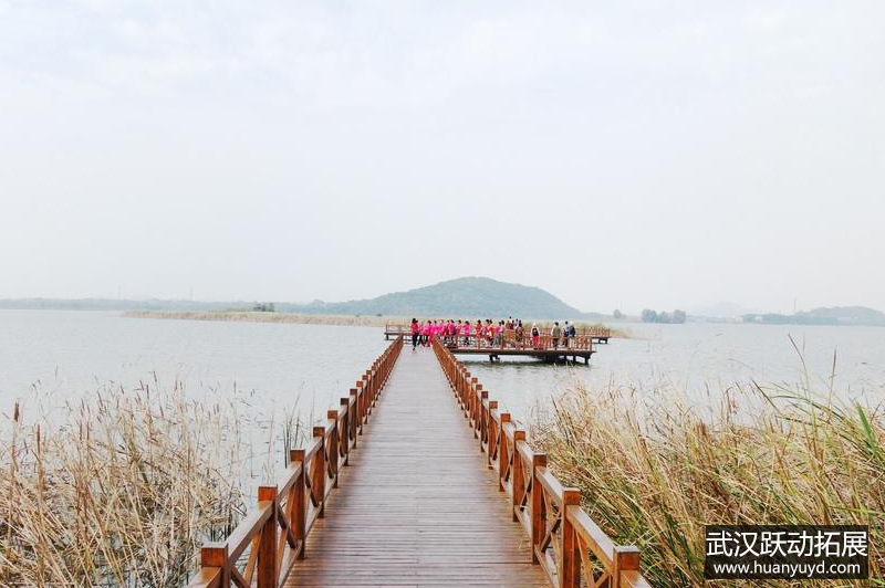 1561537588433658.jpg 后官湖3.jpg