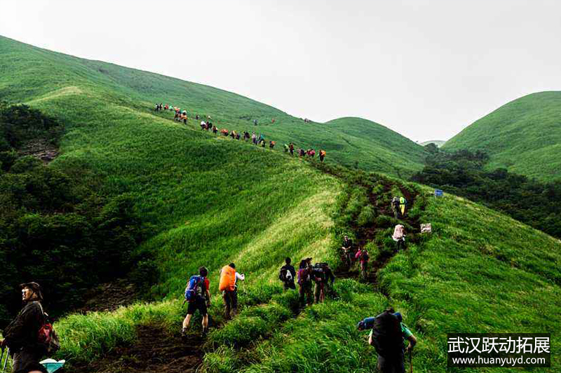 1561537858897111.jpg 武功山4.jpg